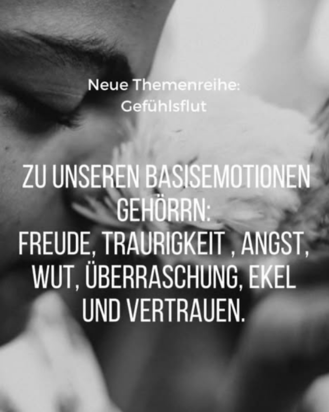 die-wichtigsten-grundgefuehle-unsere-emotionalen-basisreaktionen